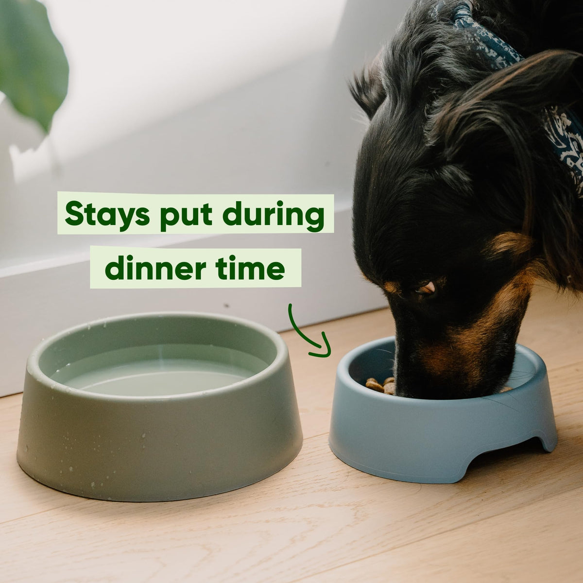 Beco Dog Bowl, Food & Water Steady Bowl, Recycled Plastic, Olive Green, L