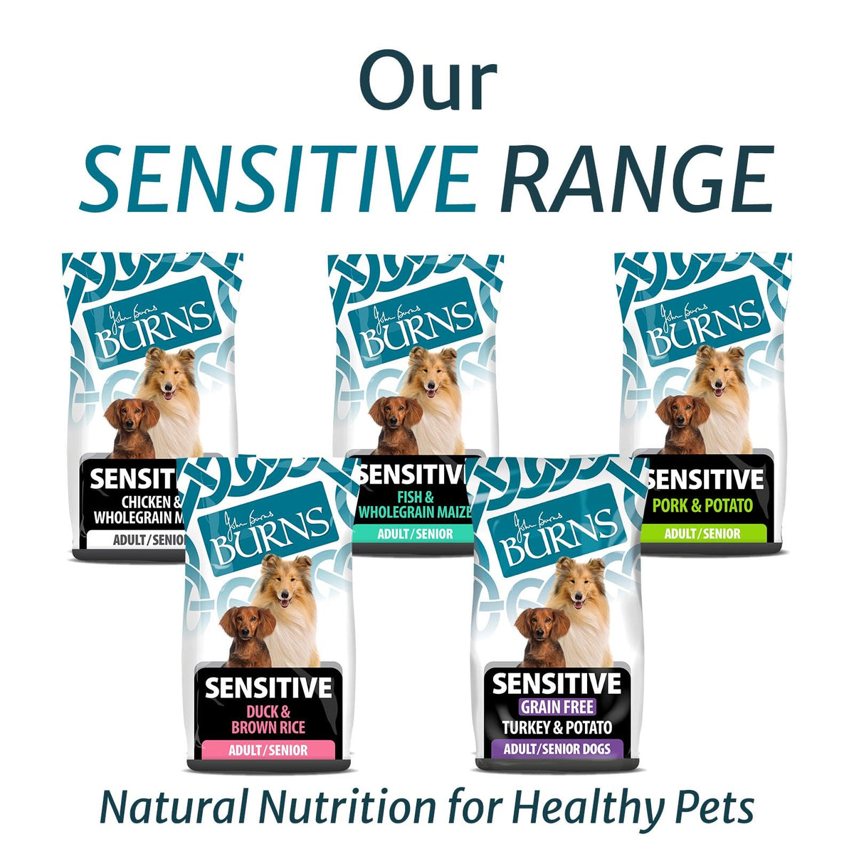 Burns Pet Nutrition Hypoallergenic Complete Dry Dog Food Adult and Senior Dog Sensitive with Pork and Potato 2 kg