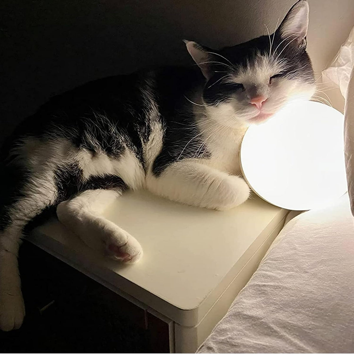 Hifree Smart Table Lamp, LED RGB Dimmable Touch Desk & Bedside Lamp