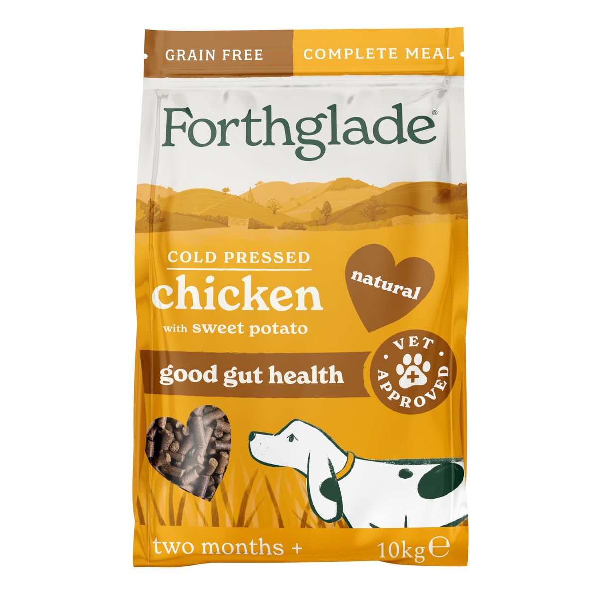 Forthglade Dry Dog Food, Cold Pressed (6kg), Hypoallergenic and Grain Free Dog Food, Salmon & Vegetables, Natural Senior, Adult and Puppy Meal Vet, Approved For Good Gut Health