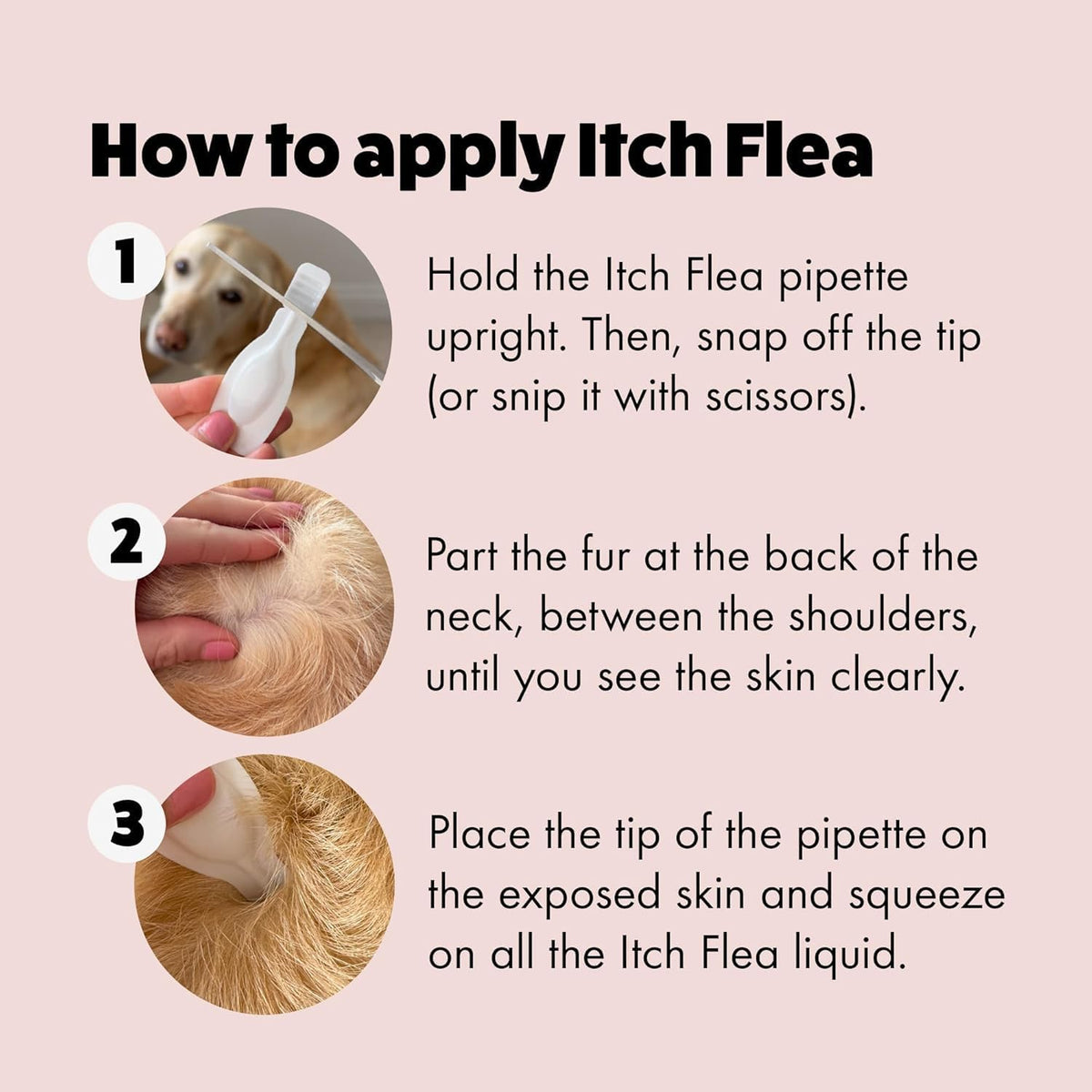 Itch Large Dog (20-40kg) Flea & Tick Treatment and Wormer Bundle