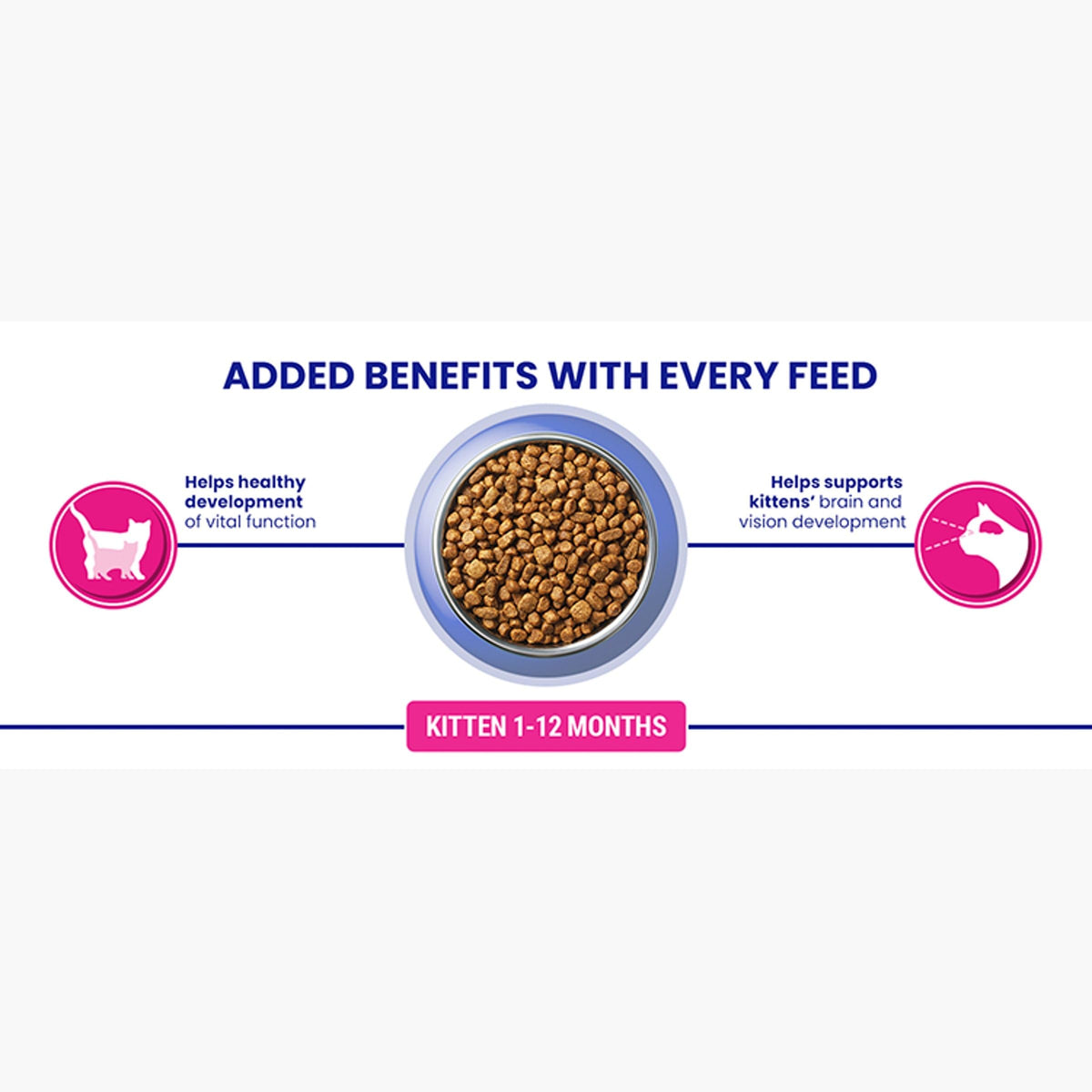 PURINA ONE BIFENSIS Dry Food for Adult Cats, Rich in Chicken, 1 Pack (1 x 5.7 kg)