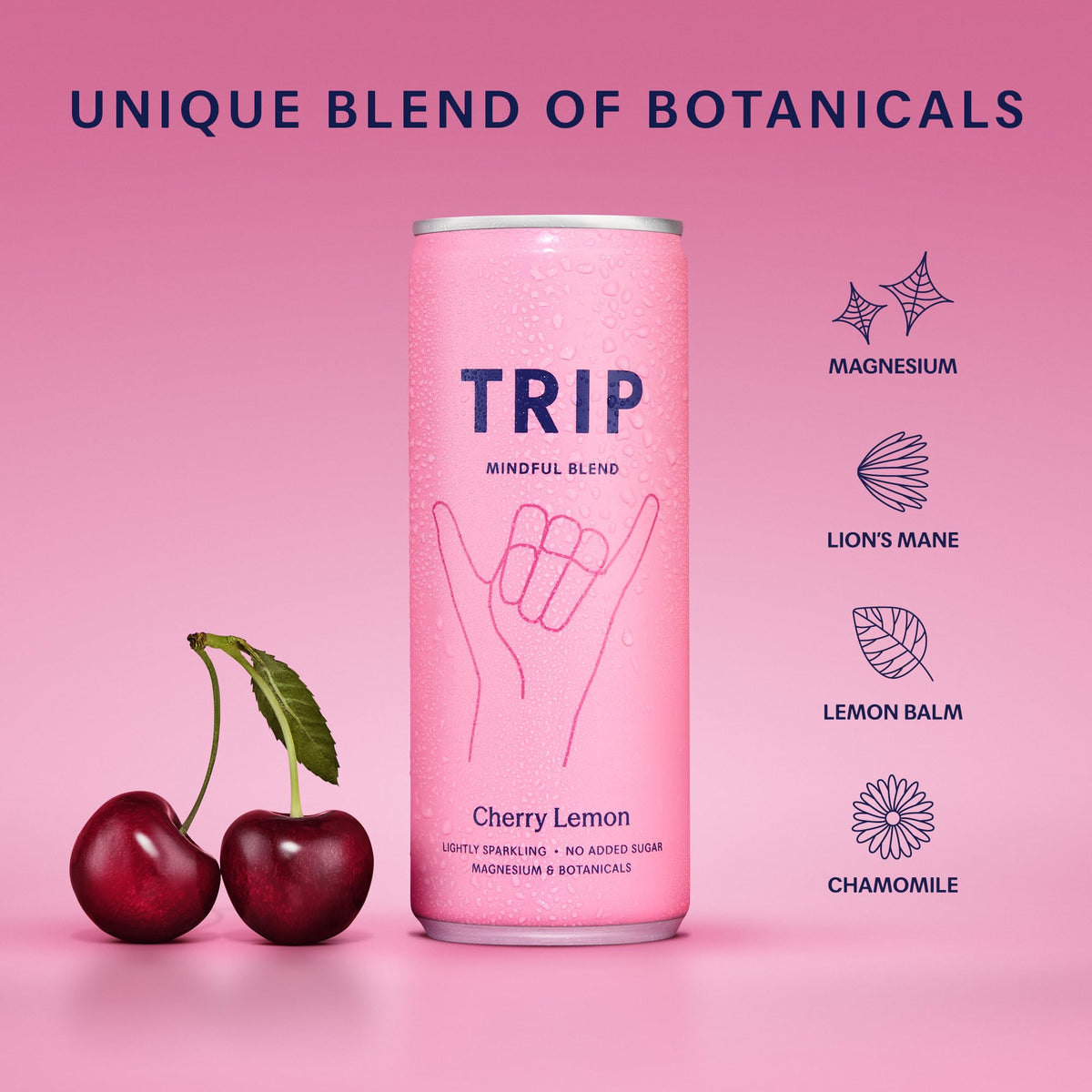 TRIP Cucumber Mint Sparkling drink with 120MG calming Magnesium + Lion’s Mane + Chamomile + Lemon Balm. Low Calorie and Vegan (Pack of 12 x 250ml) - Packaging Might Vary