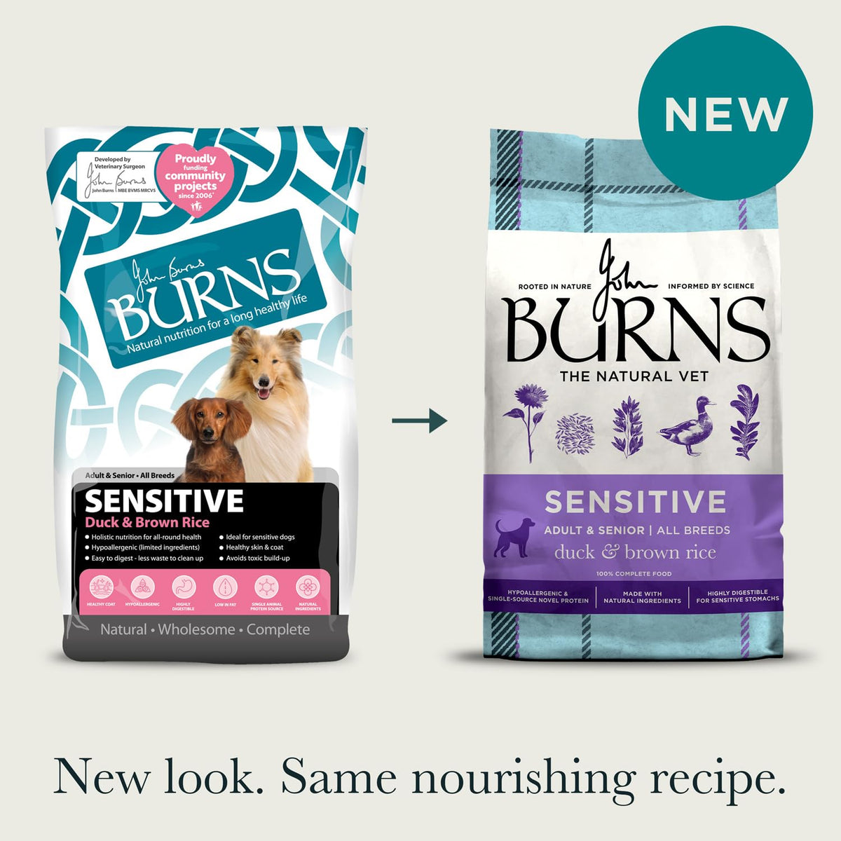 Burns Pet Nutrition Hypoallergenic Complete Dry Dog Food Adult and Senior Dog Sensitive with Pork and Potato 2 kg