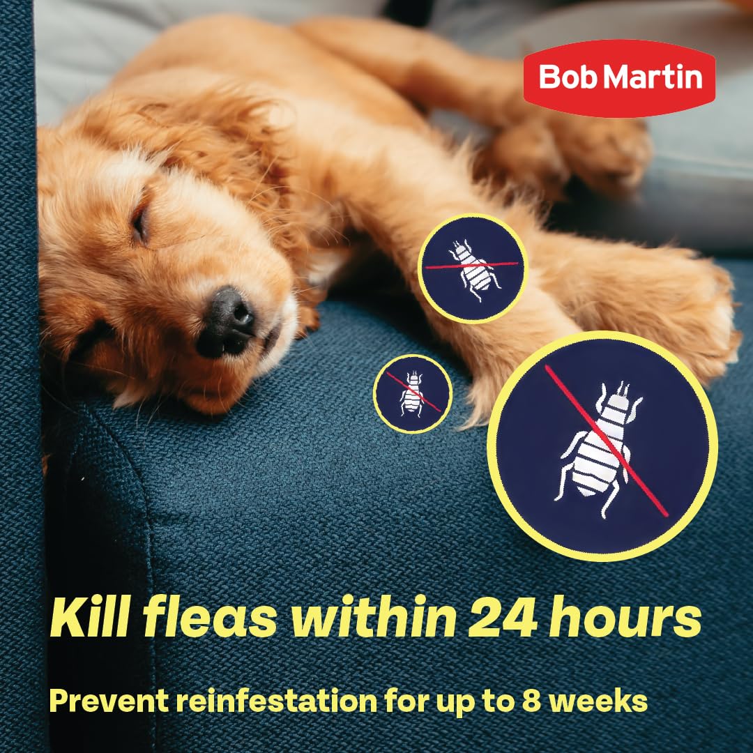 Bob Martin Clear Spot On Flea Treatment for Small Dogs (2-10kg) - Kills Fleas & Ticks (3 Pipettes)