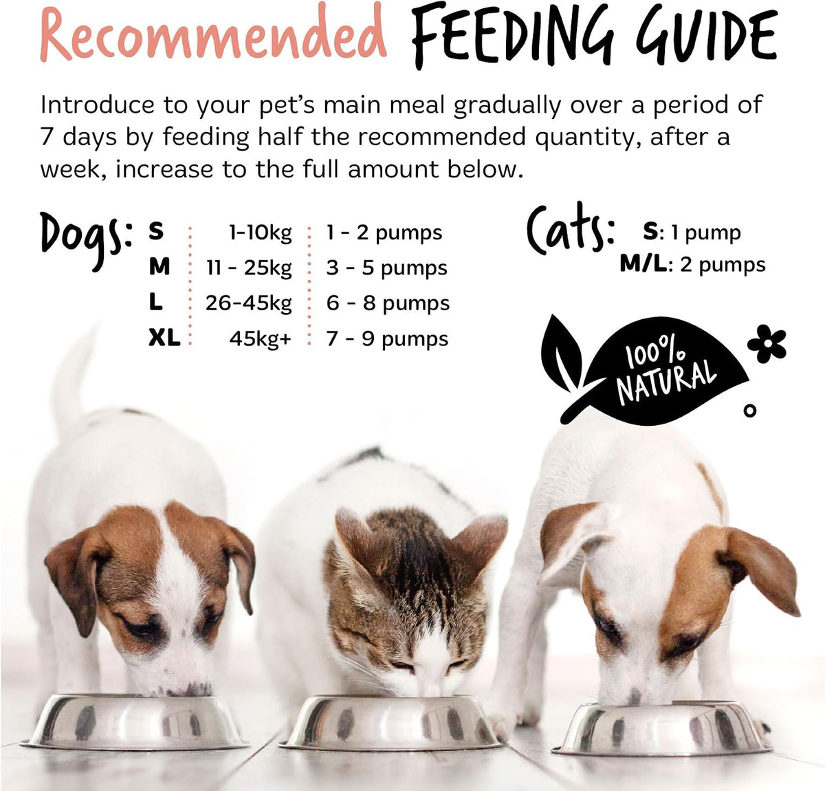 Bugalugs Scottish Salmon Oil For Dogs & Cats, Dog Supplement Support for Skin And Coat, Itchy Skin & Moulting, Omega 3 Fish Oil (Salmon, 500ml)