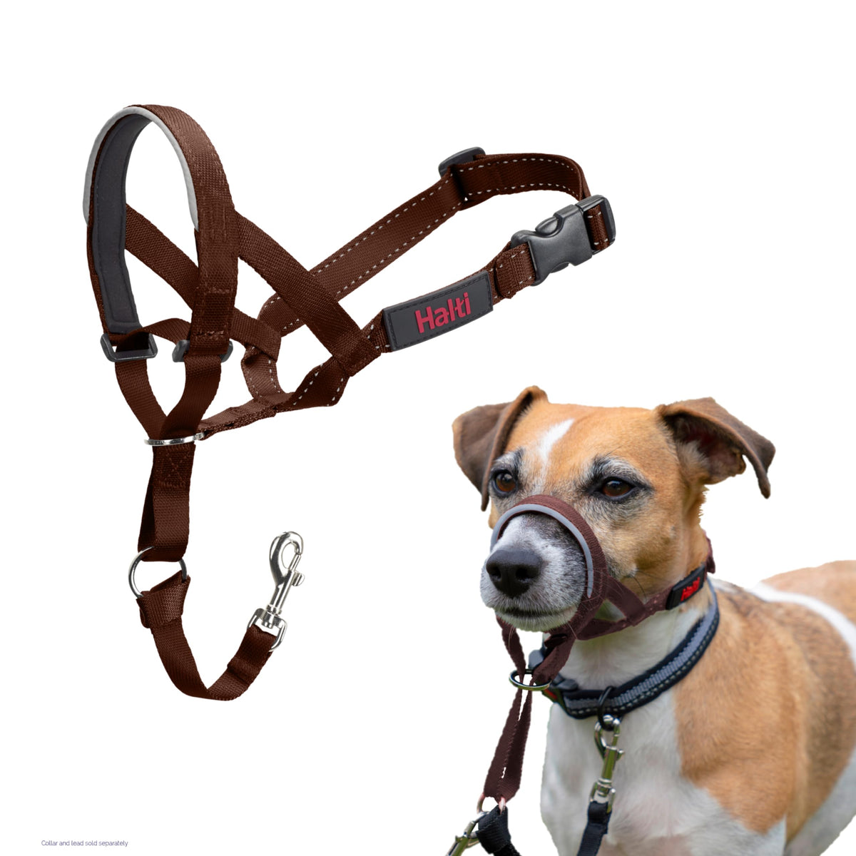Halti Headcollar for Dogs | Size 3, Black