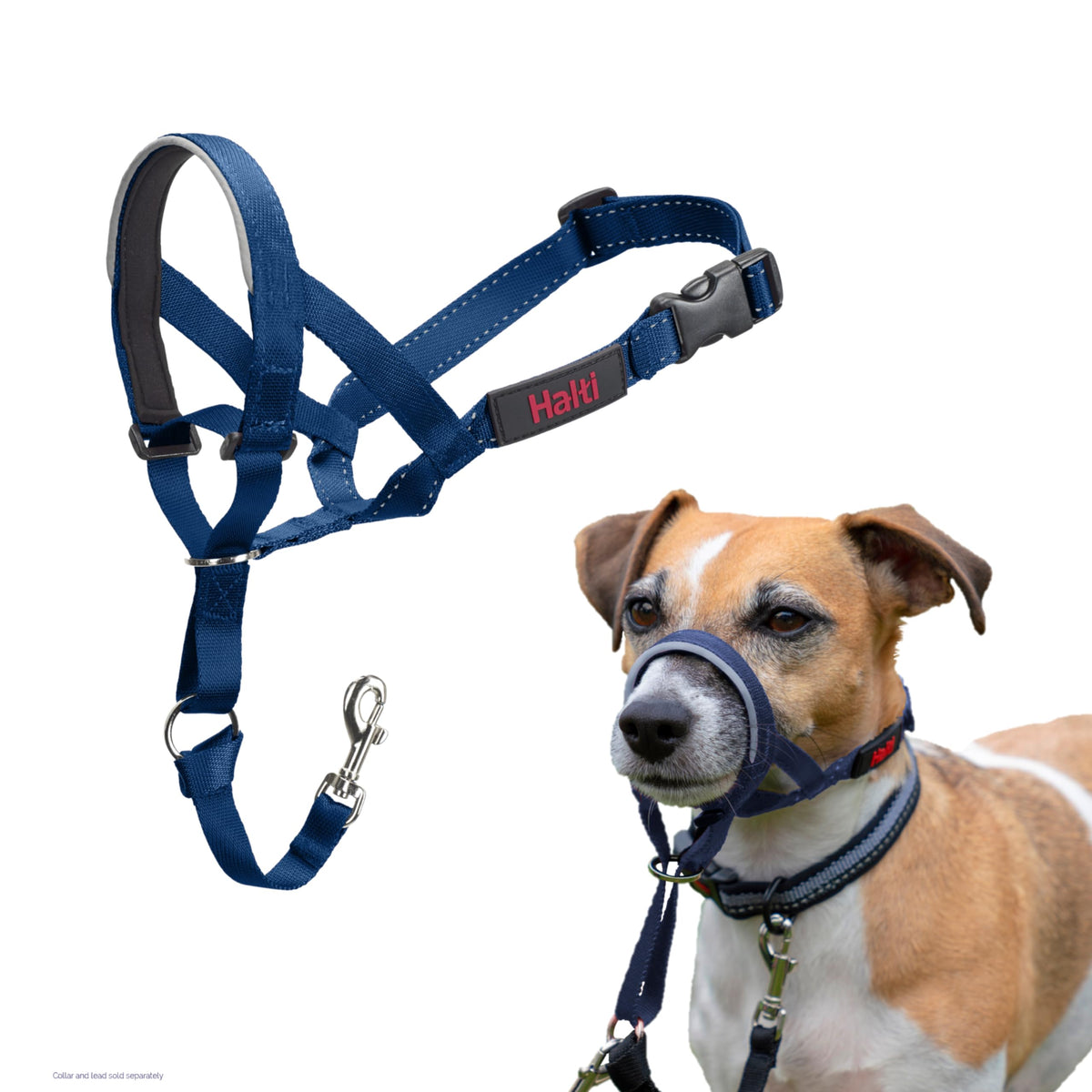 Halti Headcollar for Dogs | Size 3, Black