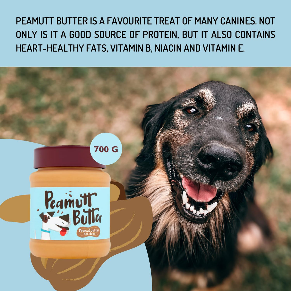 Peamutt Dog Peanut Butter | Peanut Butter Dog Treat | Formulated for Dogs | No Added Sugar and Salt | No Sweeteners | Dog Friendly Texture | Perfect Dog Treat | Pack of 1x340g
