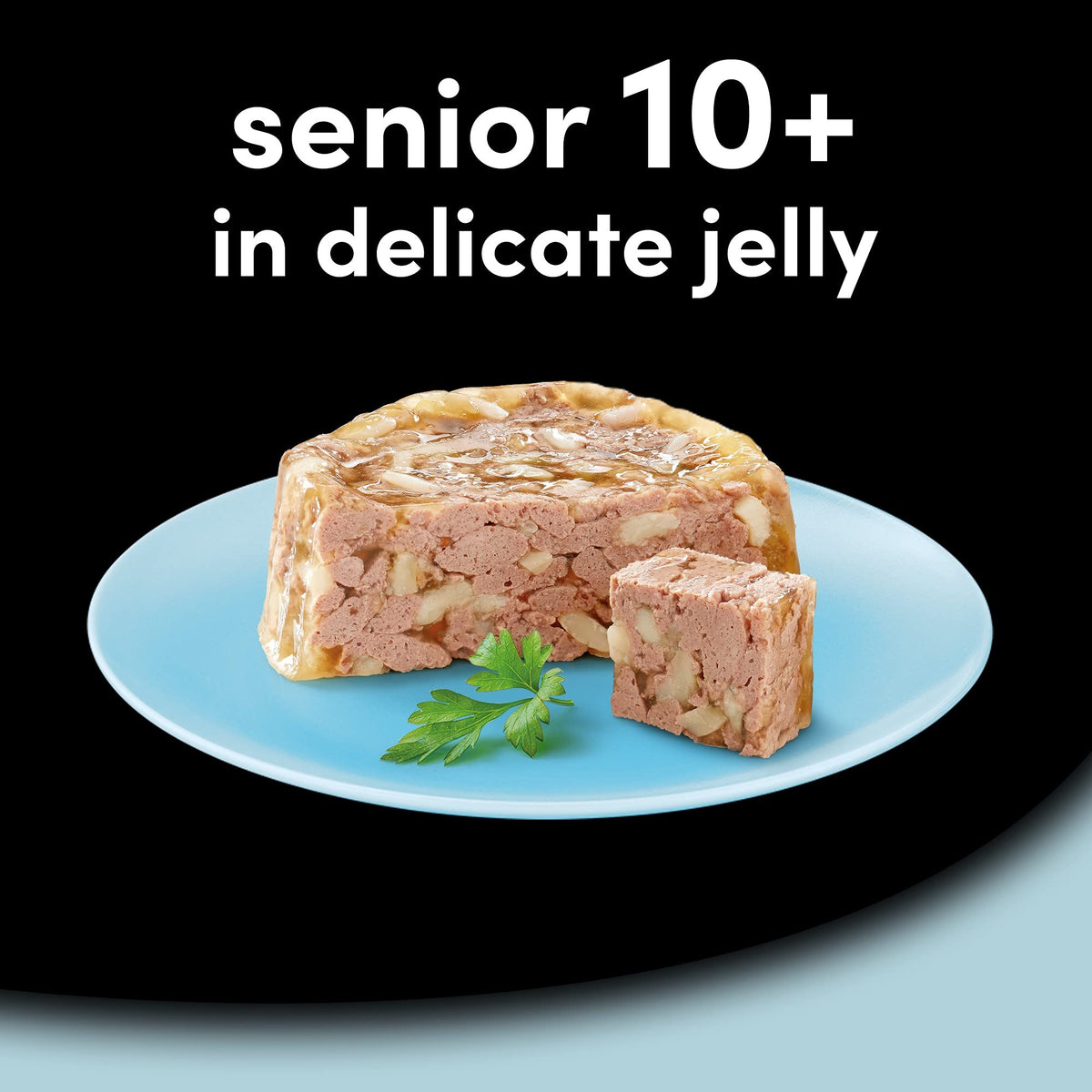 CESAR Pouch Selection in Jelly, Fresh Adult Wet Dog Food Pouches in Delicious Jelly with Succulent Meats and Vegetables, 48 x 100 g