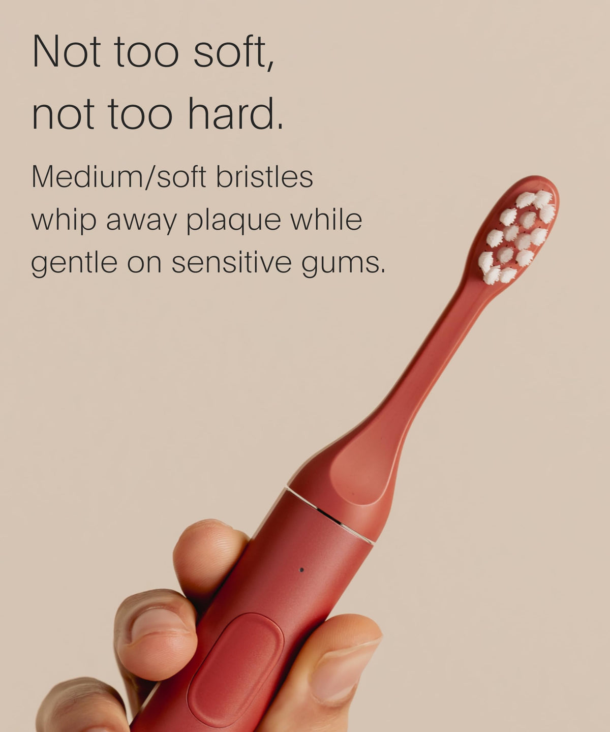 SURI Recyclable Electric Toothbrush Heads | Core & Pro Compatible | Long Lasting Replacement Heads | Pack of 3 | Winter Fern