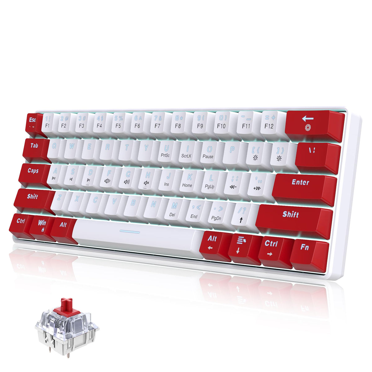 Snpurdiri Wired Mechanical Gaming Keyboard, 60% Size, LED Backlight, 61 Keys, Small Wired Office Keyboard for Windows Laptop/PC, Mac (Black-Red, Blue Switches)