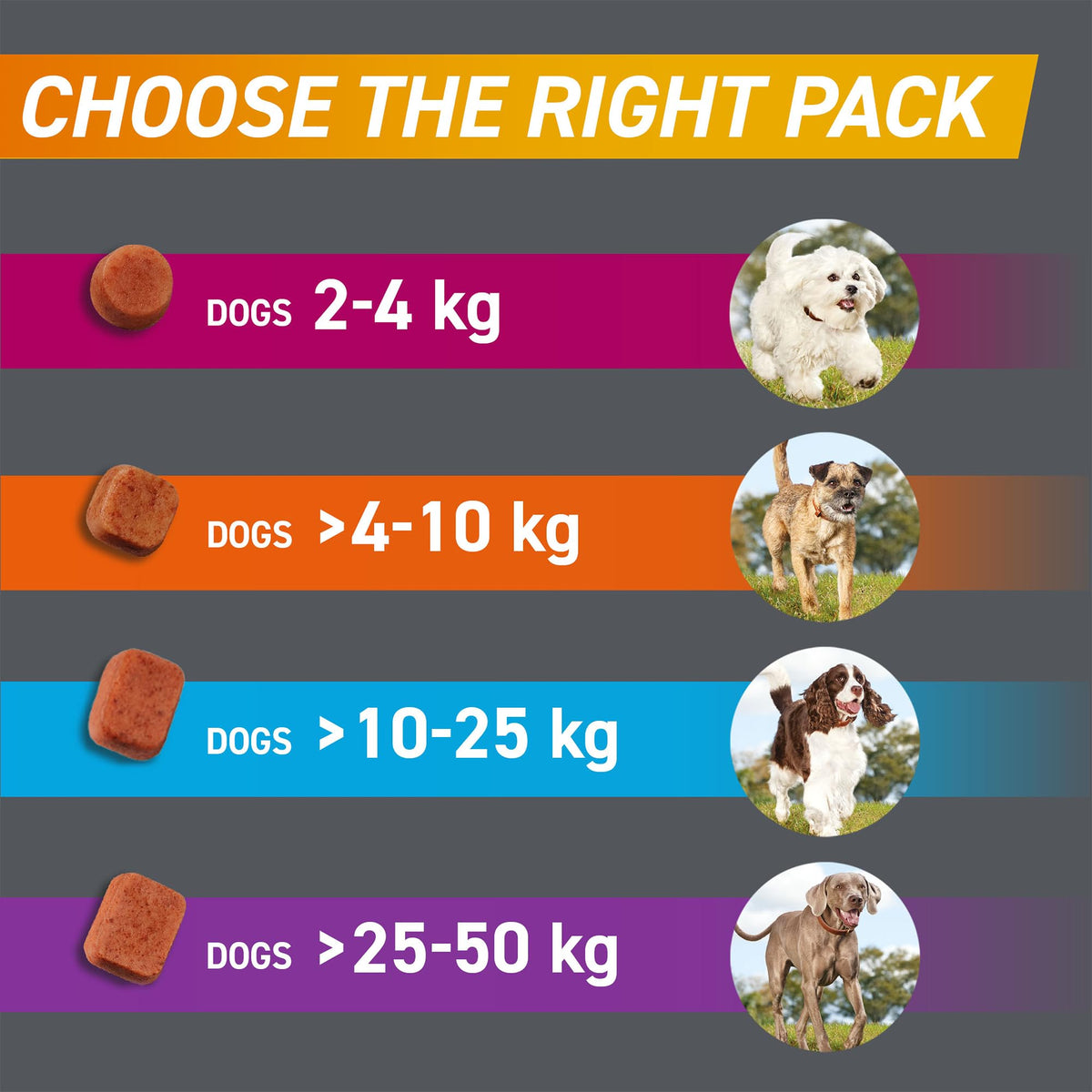 FRONTPRO Chewable Tablets Flea & Tick Treatment for Dogs 3 Pack (10-25kg)