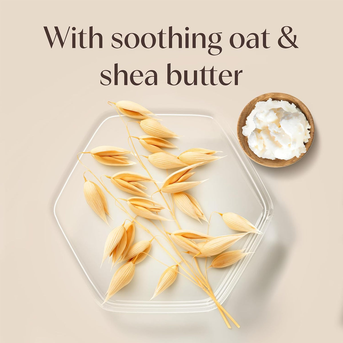 Aveeno Kids Shampoo with Soothing Oat & Shea Butter 250ml Gruffalo Edition