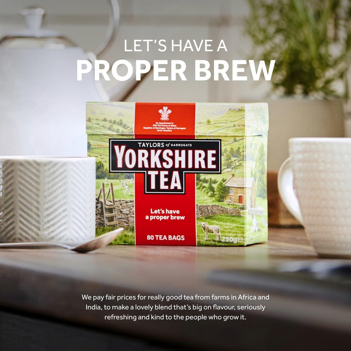 Yorkshire Tea Hard Water Tea Bags, 160 Tea Bags (Pack of 3, Total 480 teabags)