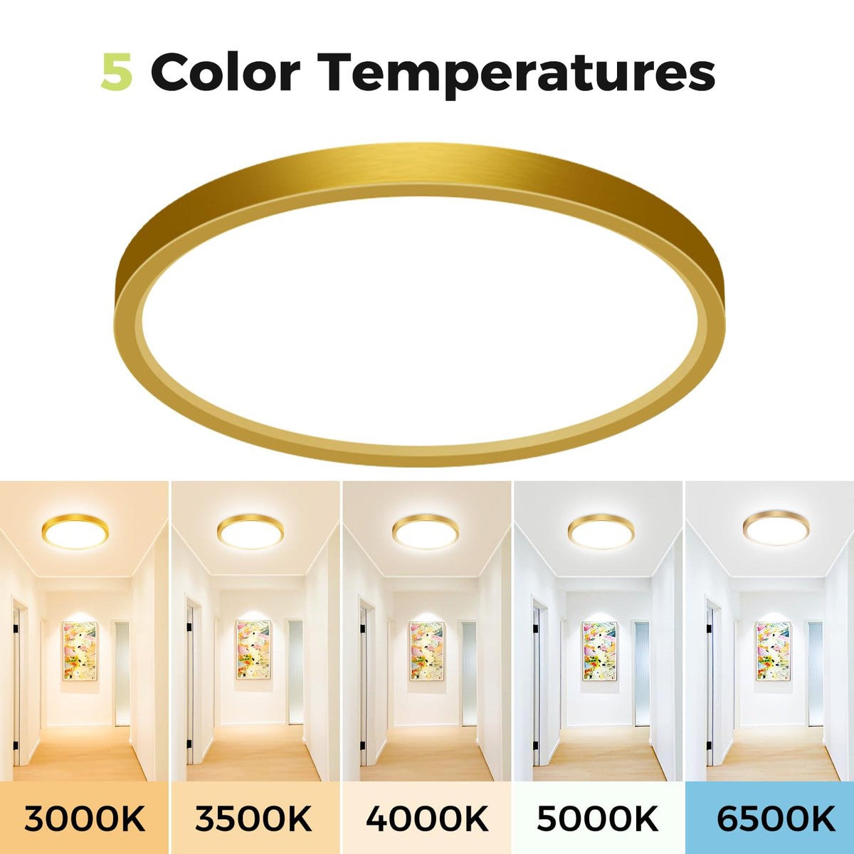 hepside 2 Pack Bathroom Ceiling Light 30cm, 3000K/3500K/4000K/5000K/6500K 5CCT LED Ceiling Lights, 24W, Modern, Waterproof, Round Flush Mount for Bathroom, Kitchen, Bedroom, Hallway