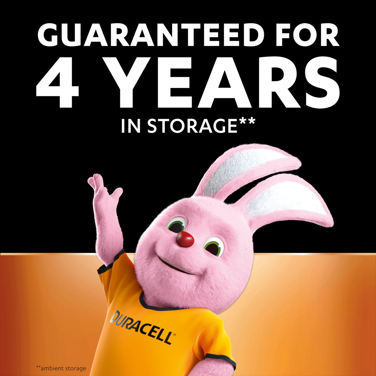 DURACELL 2025 Lithium Coin Batteries (2 Pack) 3V, CR2025