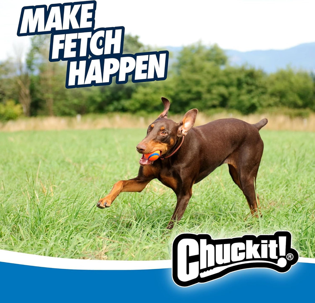Chuckit! Ultra Ball Durable Rubber Dog Toy, Large, 7.3cm (2-Pack)