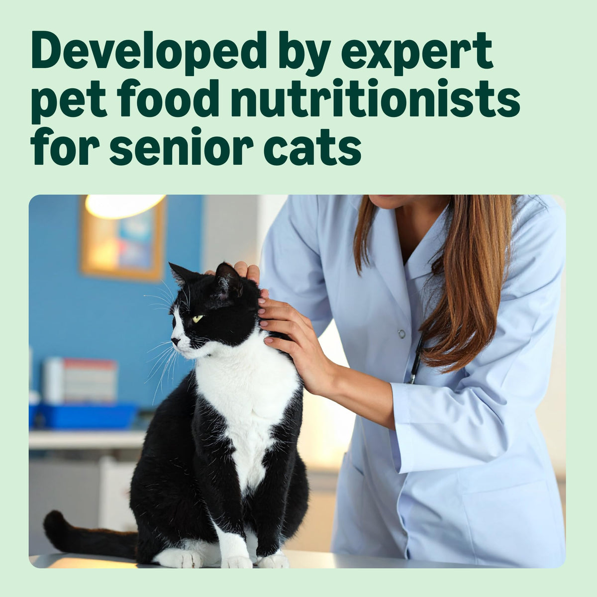 by Amazon Dry Cat Food for Adult Cats, Grainfree Recipe with Fresh Salmon, 1 Pack of 3kg (Previously a Lifelong brand, same product)