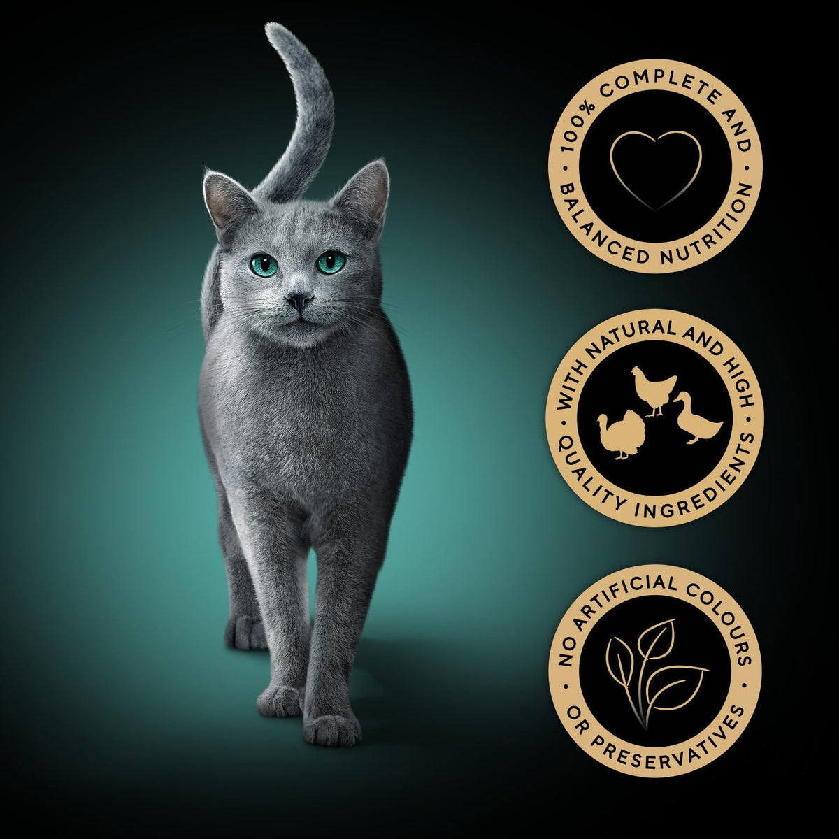 Sheba Cat Wet Food - Fresh and Fine - Cat Pouches Poultry in Gravy - 50 x 50 g Pack