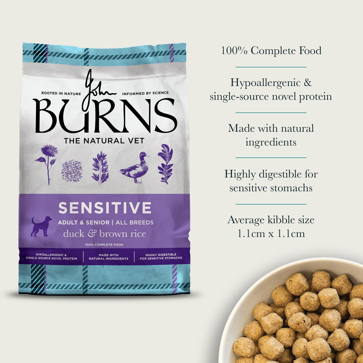 Burns Pet Nutrition Hypoallergenic Complete Dry Dog Food Adult and Senior Dog Sensitive with Pork and Potato 2 kg