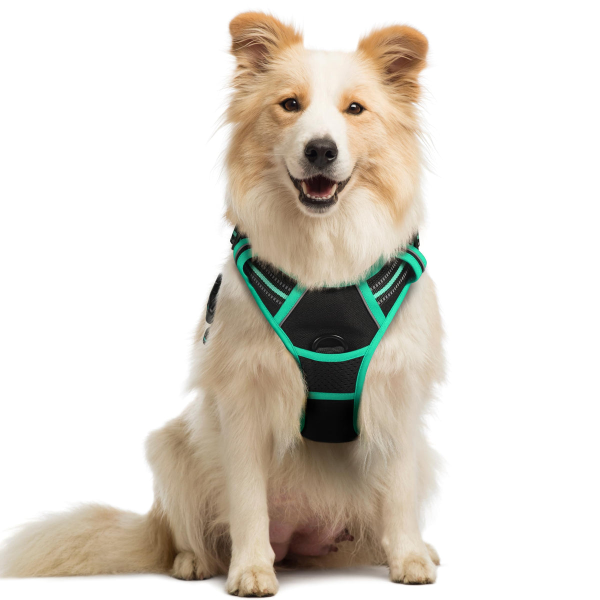 rabbitgoo Dog Harness Large Dog, No Pull Vest with Front Clip & Handle