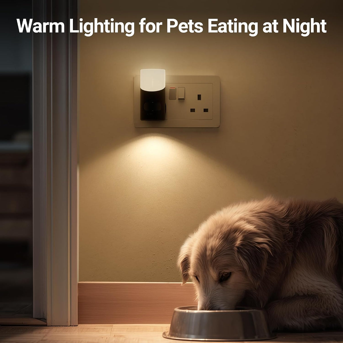 Lyridz Motion Sensor Lights Indoor with Up-and-Down Glowing, Dimmable Night Light Plug in Wall Warm White, [1 Pack] Movement Sensor Light Auto 60s/120s Off for Hallway, Bathroom, Stairway, Corridor