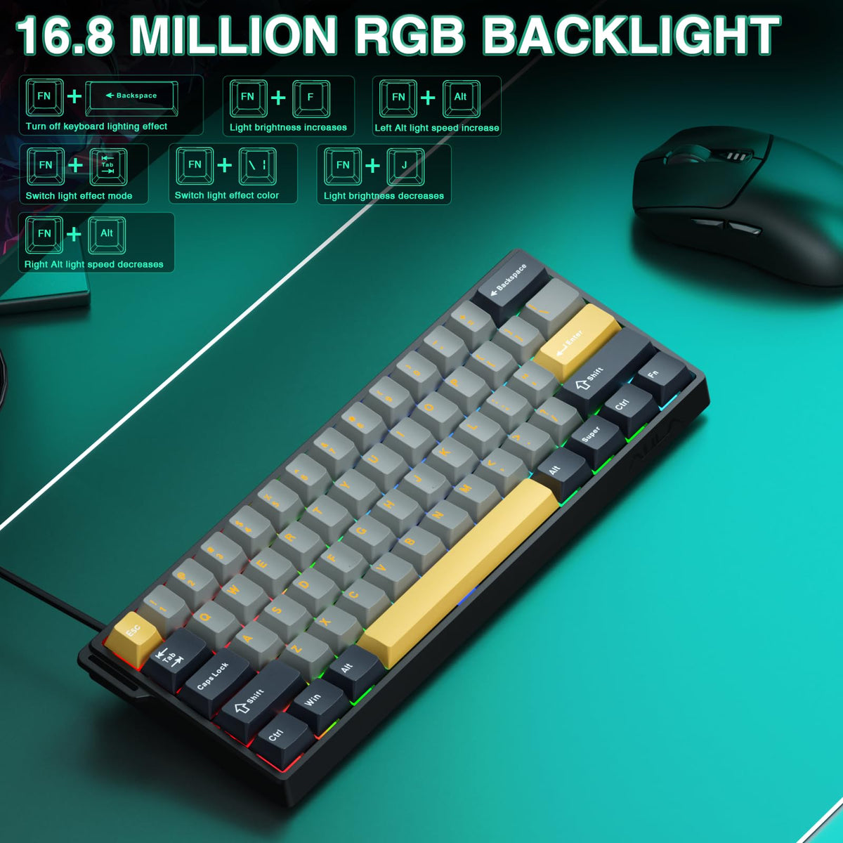 AULA WIN60 HE Mechanical Gaming Keyboard Wired,Hall Effect Magnetic Switches,Adjustable Actuation Rapid Trigger,8K Polling Rate,RGB Backlight,60% Percent Keyboard for Mac/Win (BLACK) (Pack of 2)