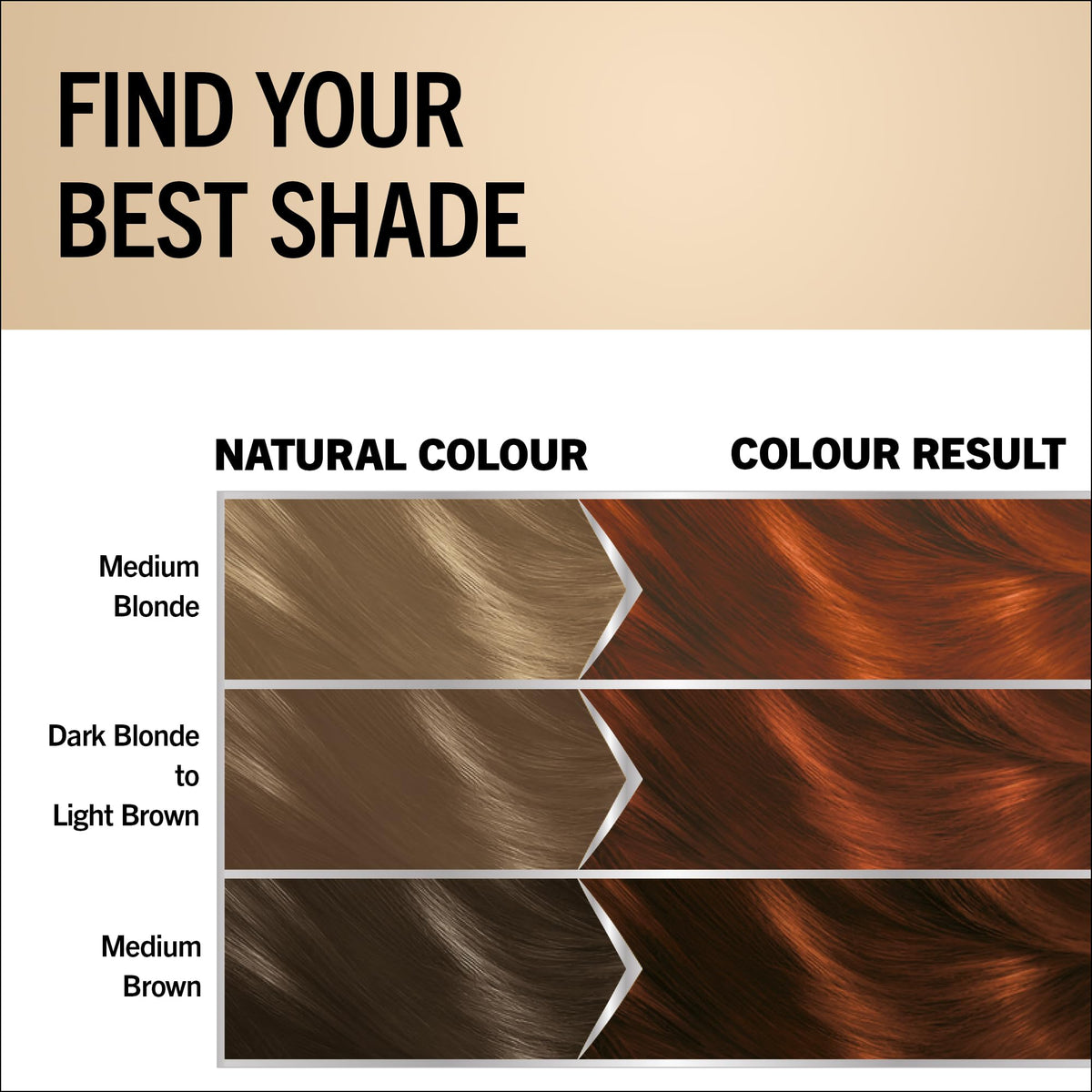 Schwarzkopf Oleo Intense Permanent Hair Colour 4-60 Gold Brown | Ammonia Free Oil Hair Dye | 100% Grey Coverage | Long-Lasting Rich Colour | With HaptIQ System & Caring Oil Mask (Pack of 2)