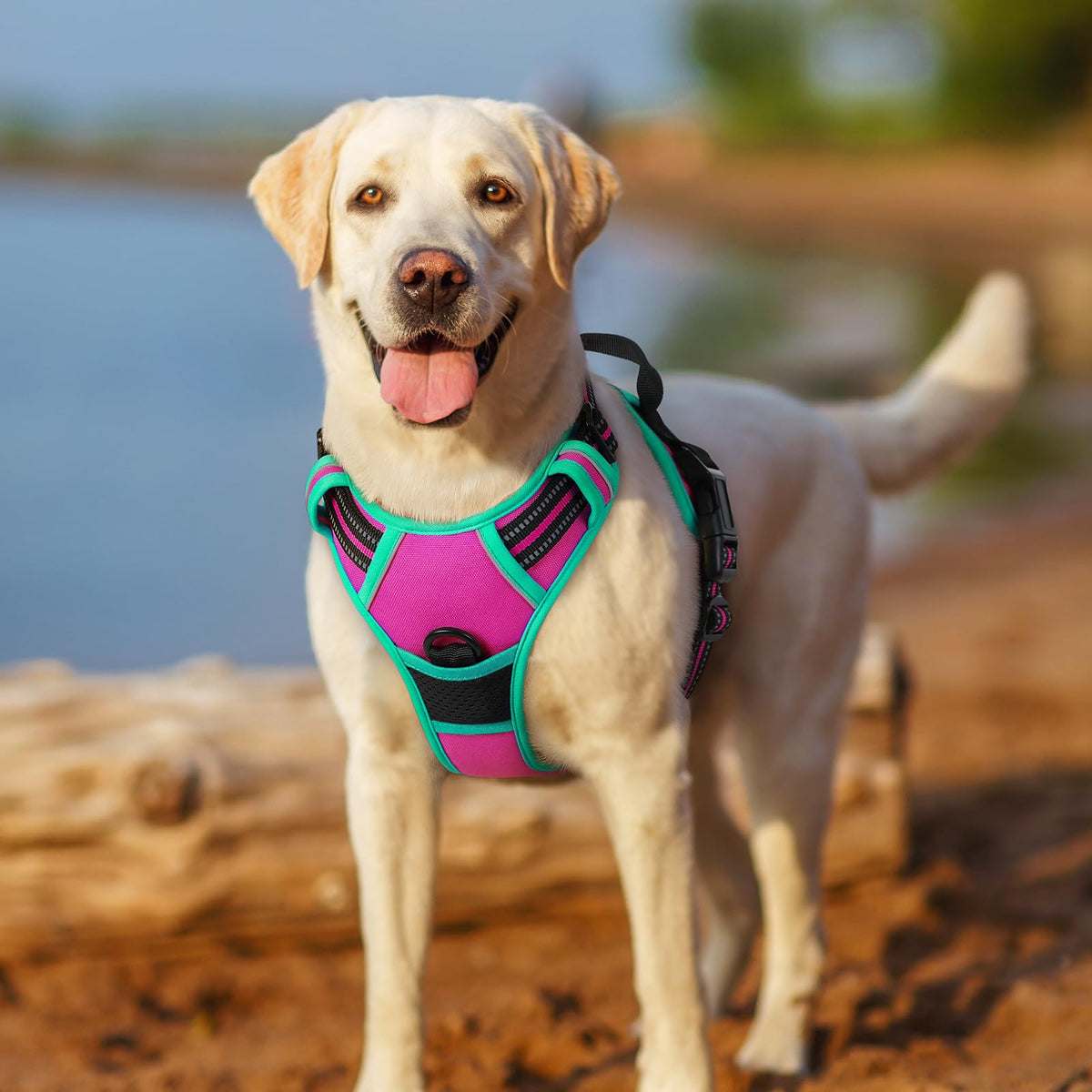 rabbitgoo Dog Harness Large Dog, No Pull Vest with Front Clip & Handle