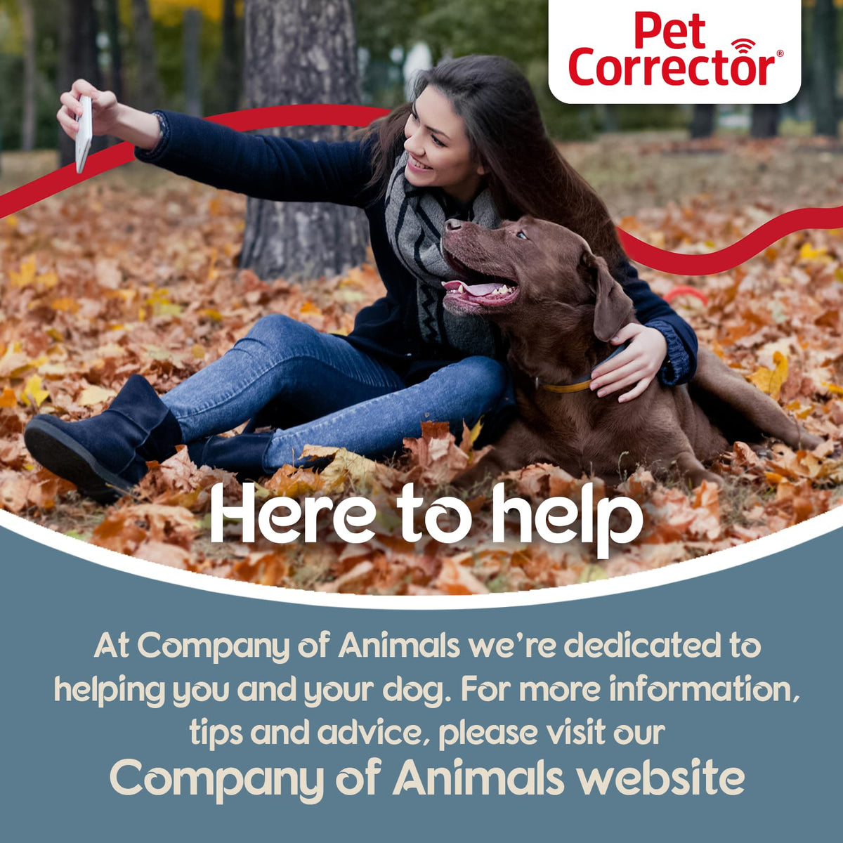 Pet Corrector Dog Trainer, Help Stop Unwanted Dog Behaviour | 30 ml