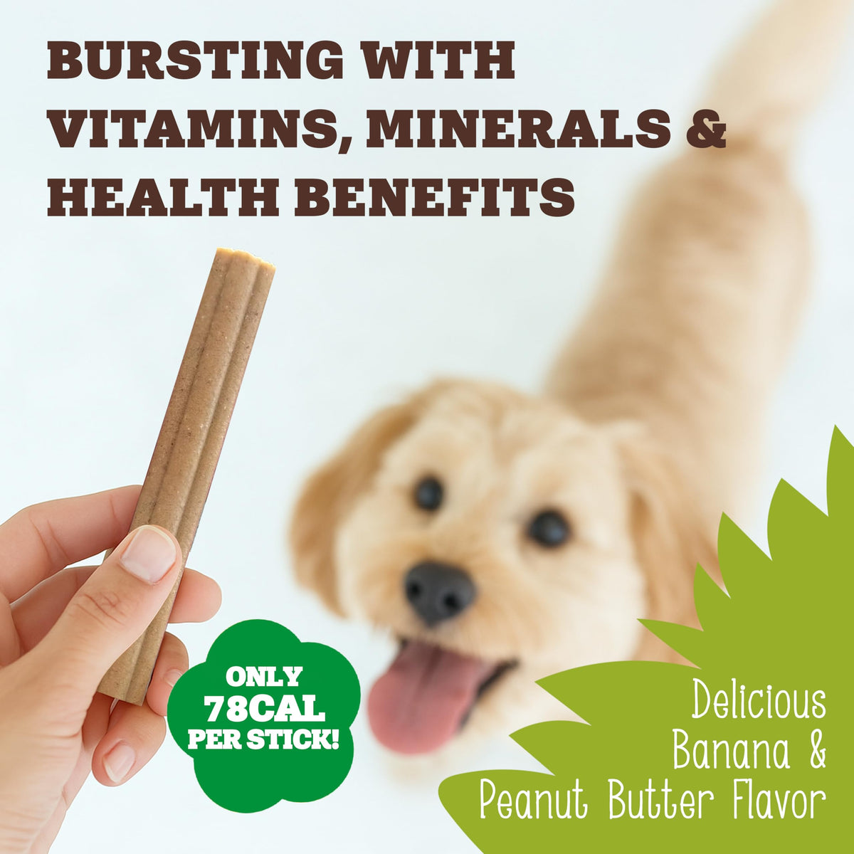 Soopa Carrot & Pumpkin Dog Dental Sticks, Chews to Clean Teeth, 100 g, 1-Pk