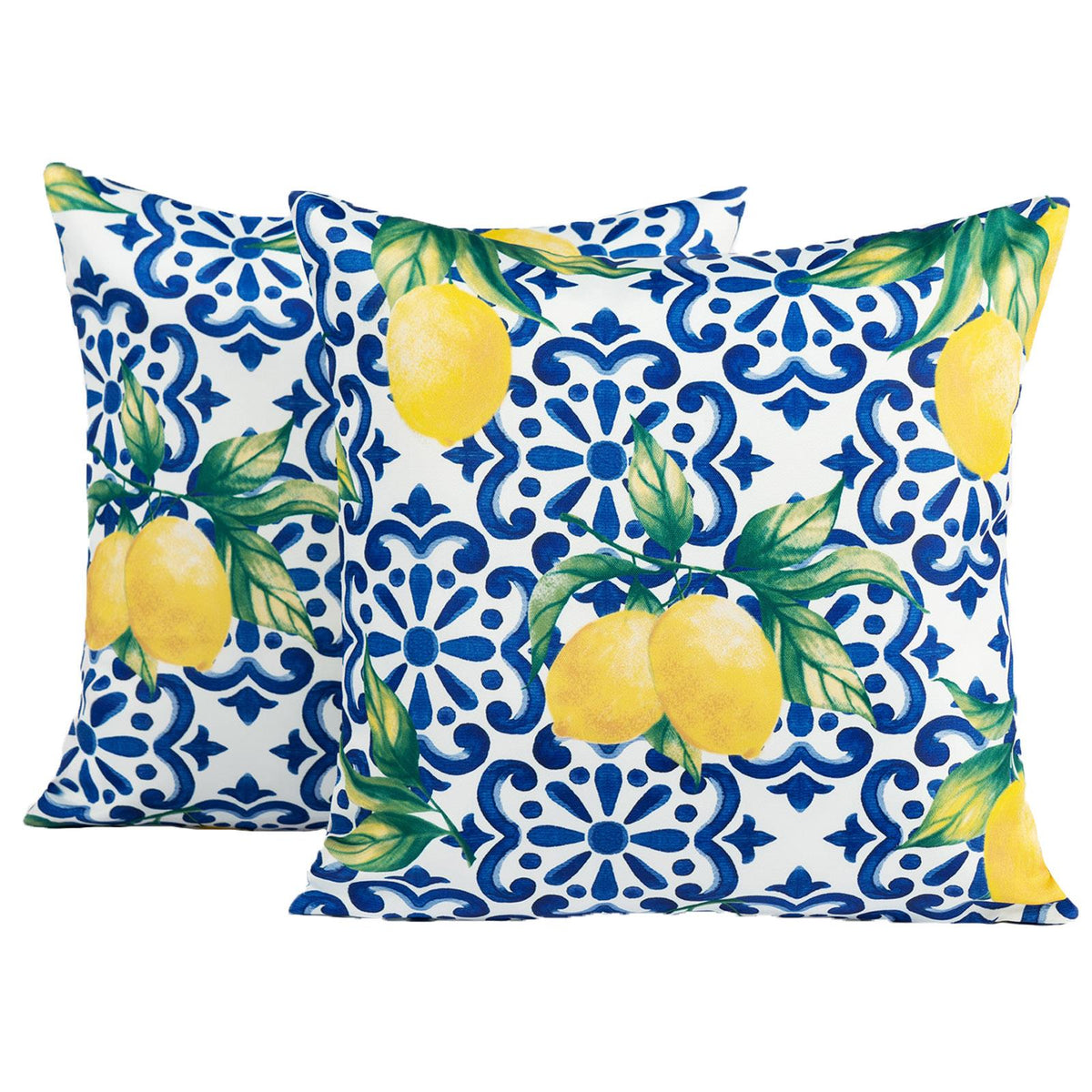 Outdoor Cushion Cover Lemon Garden Water Resistant Filled Inserts Furniture Pads