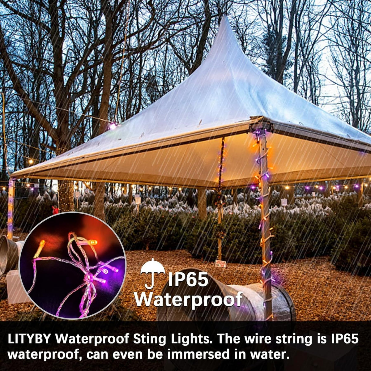 LITYBY Fairy Lights Plug in Waterproof,120LED String Lights Main Powered