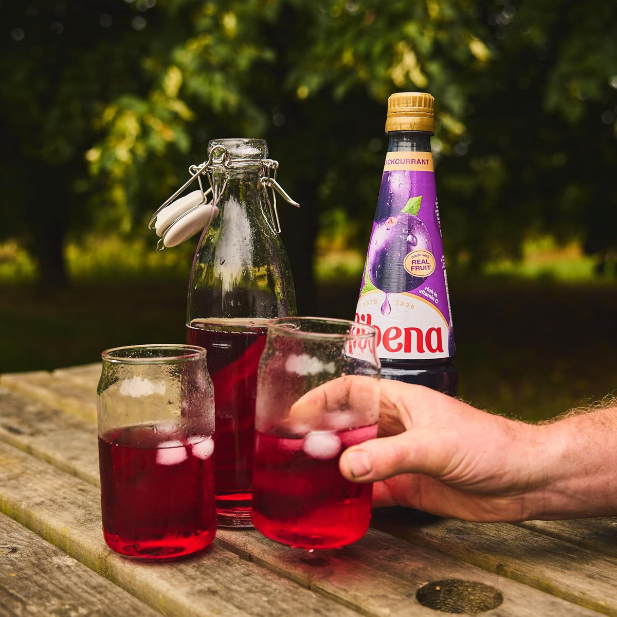 Ribena Blackcurrant Squash 1.5L – Real British Blackcurrants | Rich in Vitamin C | No Artificial Colours or Flavours | 100% Recycled Plastic Bottle