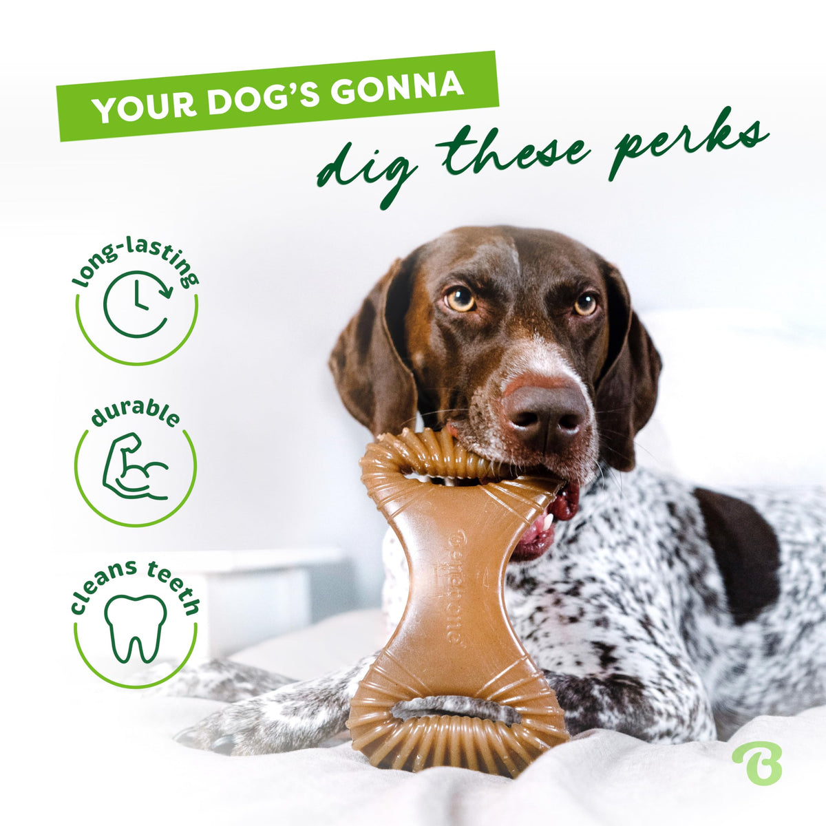 Benebone Wishbone Dog Chew Toy for Aggressive Chewers, Real Bacon, Medium