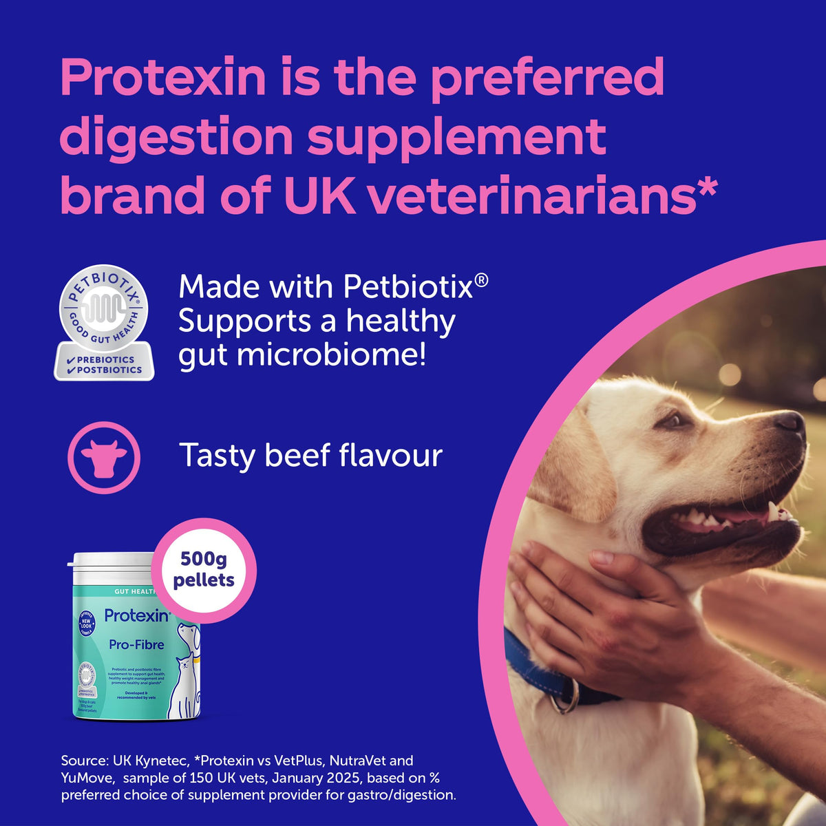 Protexin Pro-Fibre for Dogs, High-Fibre Digestive Supplement with Prebiotics & Postbiotics, Fibre for Dogs to Support Gut Health, Immune , Anal Glands & Stool Support, Protexin Dog Supplement, 500g