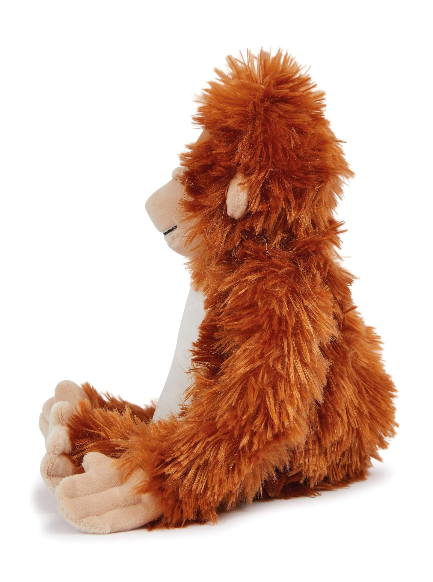 Personalised Photo Teddy Bear – Add Photo on Front & Text on Feet | 28 Styles | Custom Keepsake Gift for Baby, Sympathy, Birthday & More (Brown Teddy Bear)