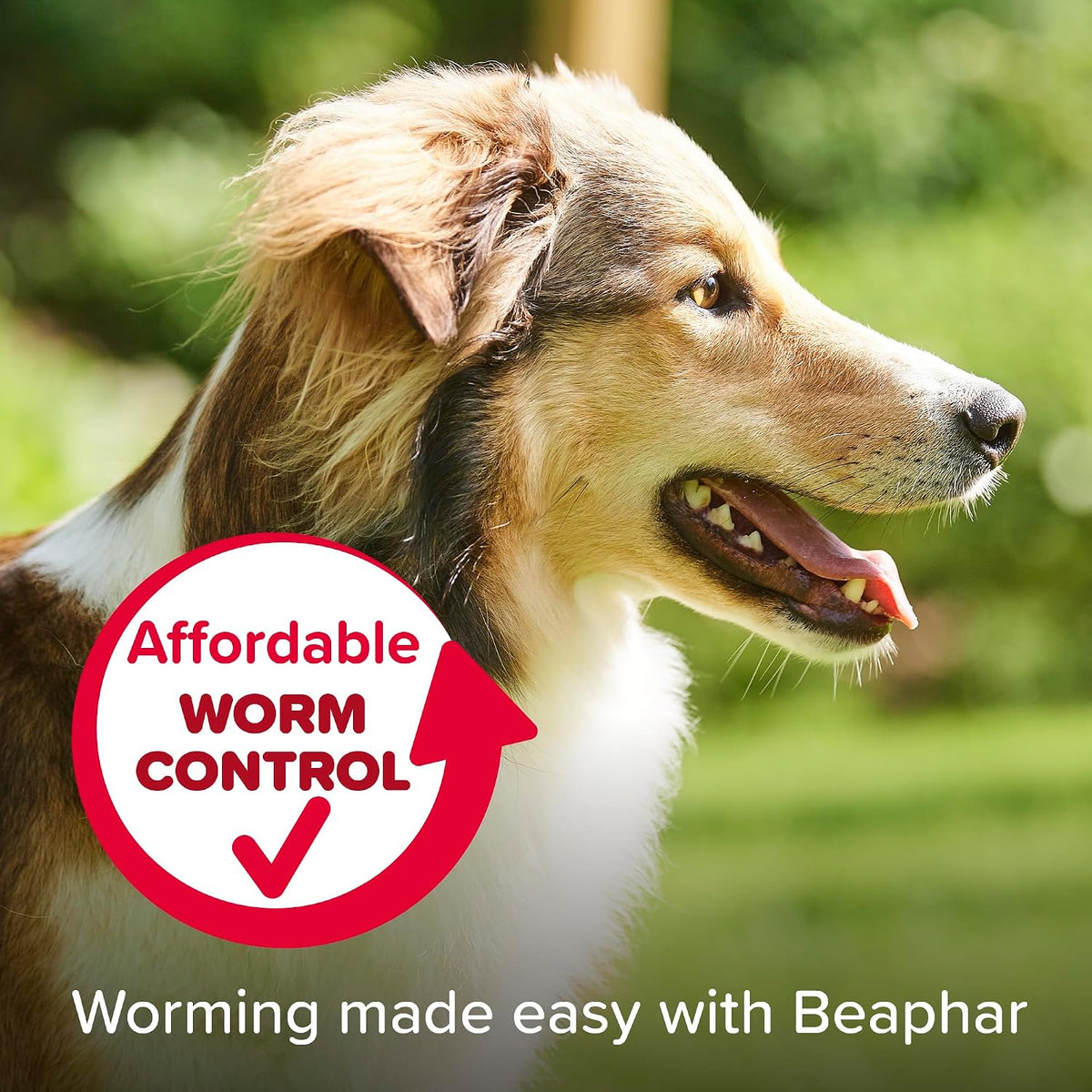Beaphar - WORMclear® Tablets for Dogs up to 40kg - 4 Tablets - Kills All Common UK Intestinal Worms (Roundworms & Tapeworms) - Vet Strength Wormer - Pork-Flavoured - For dogs over 2 weeks old & 3kg