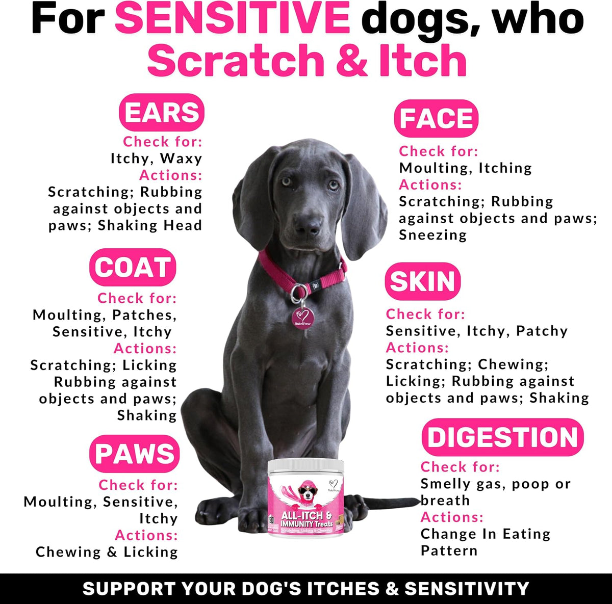 NutriPaw All-Itch Immunity Treats For Dogs - Soothe Itchy Paws, Eyes, Ears, Skin - Stop Itching, Licking, Scratching - Good for Small, Medium & Large Dogs - Supports Seasonal Itching - Trio Value Pack