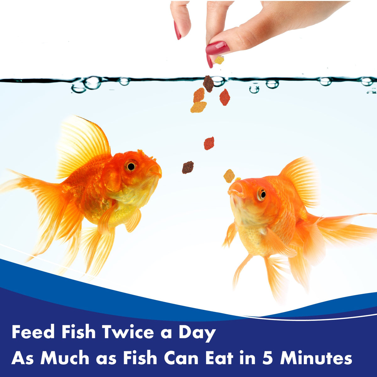 AQUARIAN Complete Nutrition, Aquarium Goldfish Food, Flakes Also Suitable for Small Pond Fish, 200g Container