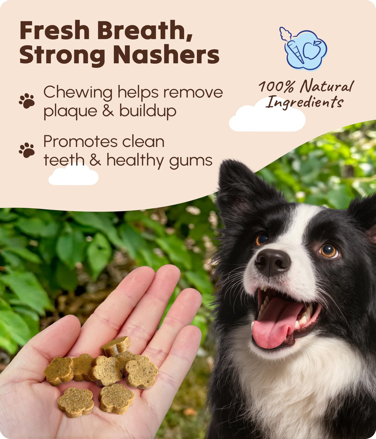 Soopa Strawberry Dog-Quiri Healthy Bites, Dog Training Treats, 50 g, 1-Pack