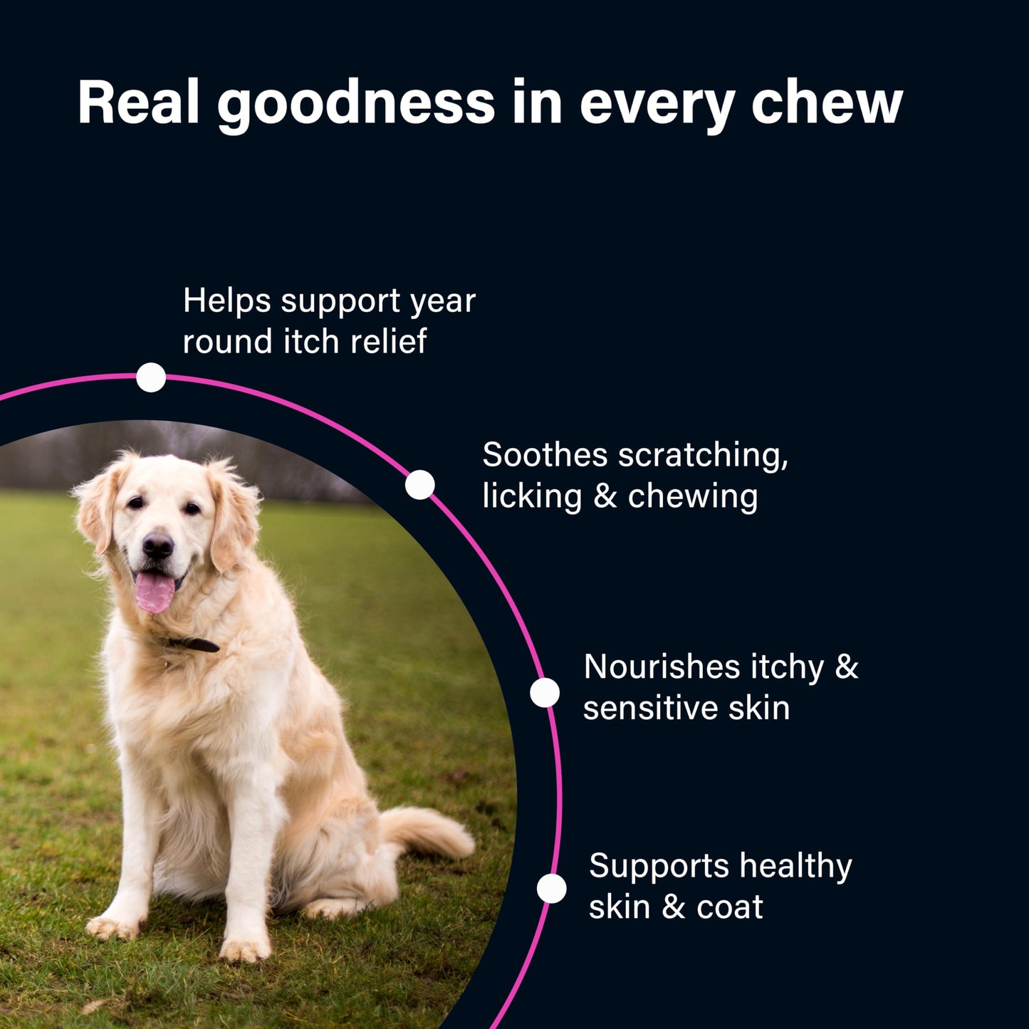 Joint Supplements for Senior Dogs, 120 Tablets with Glucosamine, Green Mussel & Vitamin C, Senior Dog Joint Supplements - Relieve Stiff Joints & Support Mobility for Your Dog