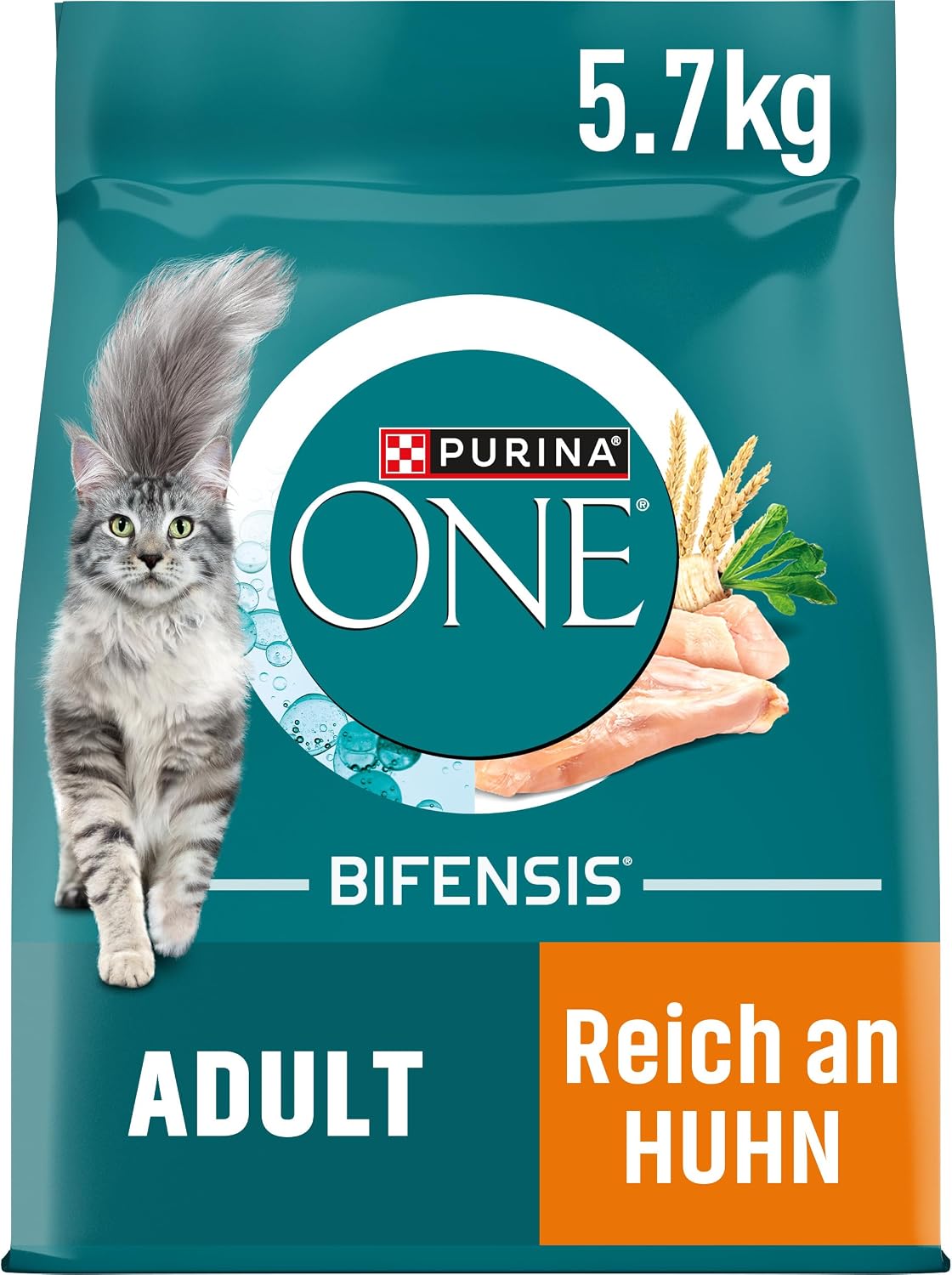 PURINA ONE BIFENSIS Dry Food for Adult Cats, Rich in Chicken, 1 Pack (1 x 5.7 kg)