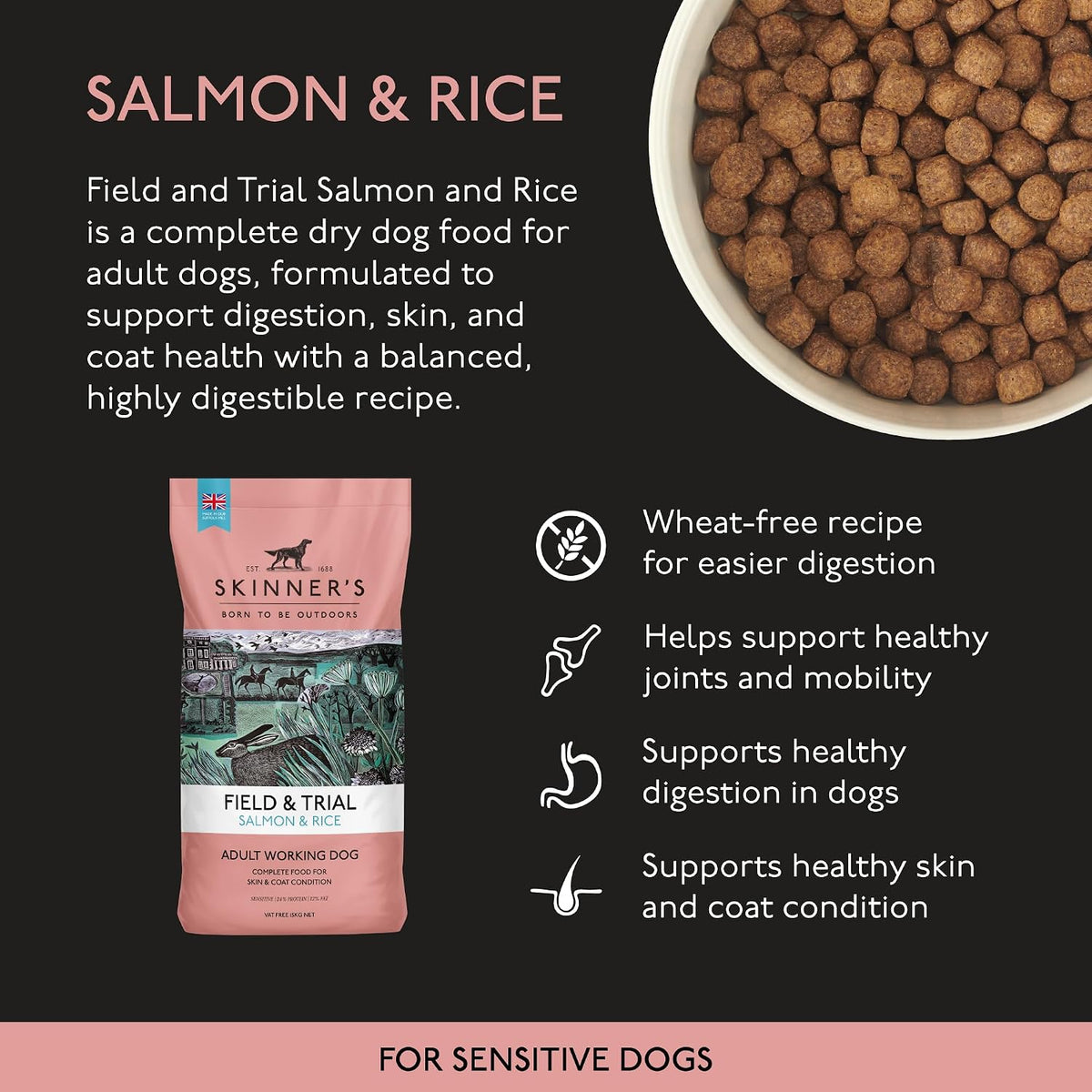 Skinners Field & Trial Salmon & Rice 15kg, Complete Dry Adult Working Dog Food, Gentle Digestion, Glossy Coat