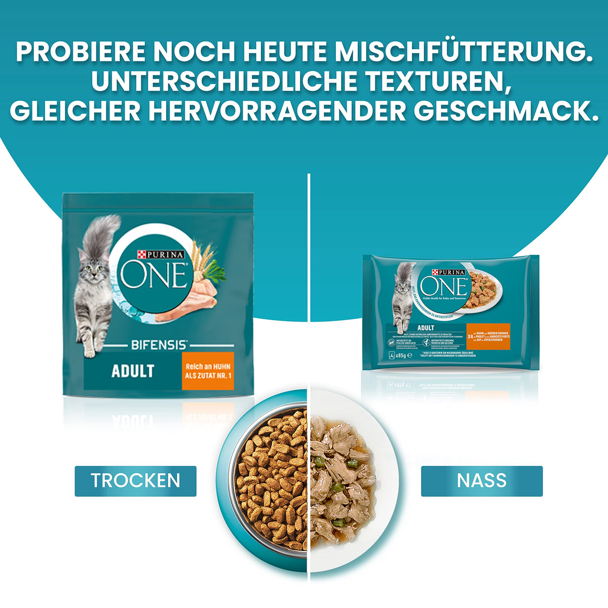PURINA ONE BIFENSIS Dry Food for Adult Cats, Rich in Chicken, 1 Pack (1 x 5.7 kg)