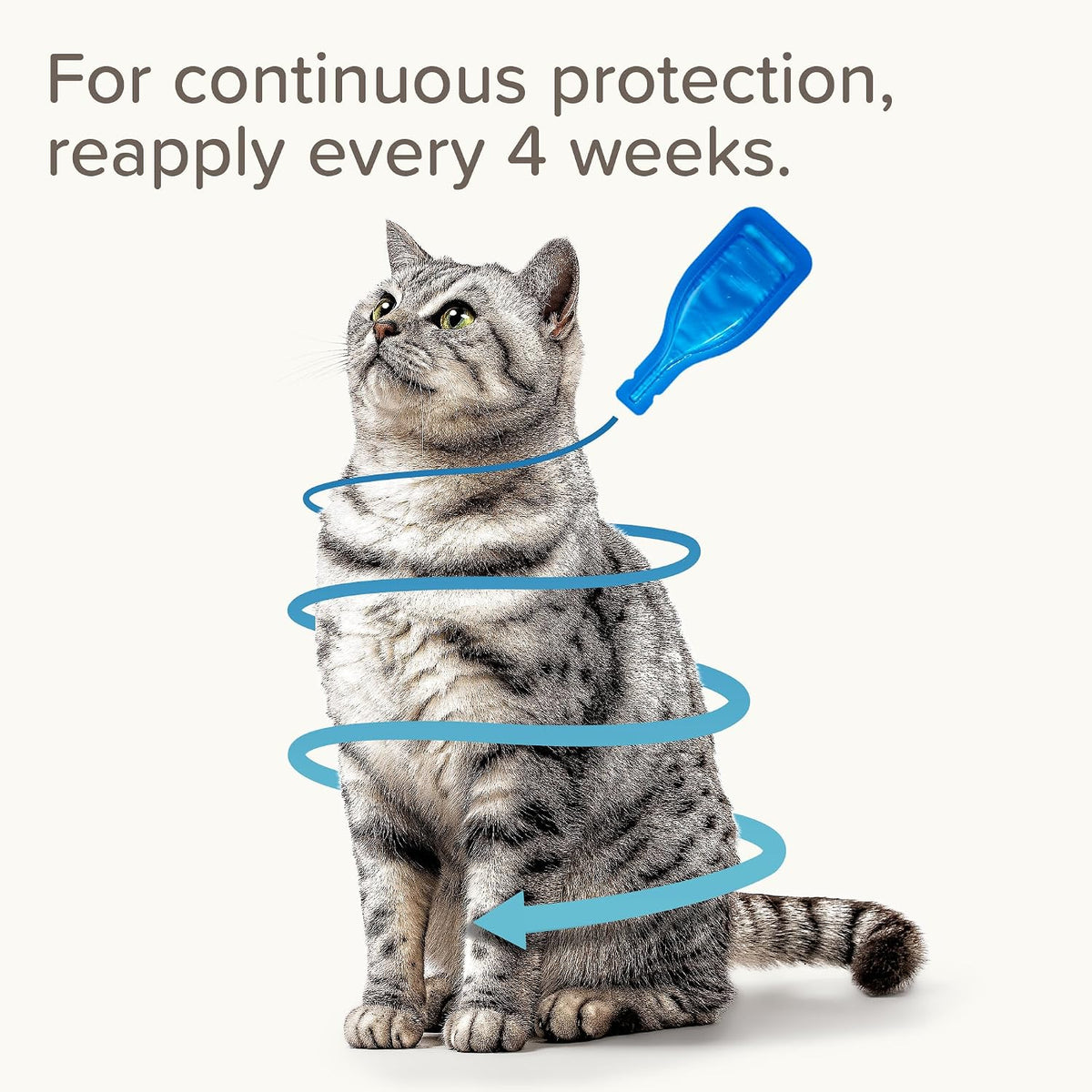 Beaphar - FIPROtec Spot-On Flea & Tick Treatment for Cats - 6 Pipettes - Kills Fleas & Ticks - Veterinary Medicine – Easy to Apply Monthly - For Cats & Kittens from 8 Weeks Old, Weighing Over 1kg