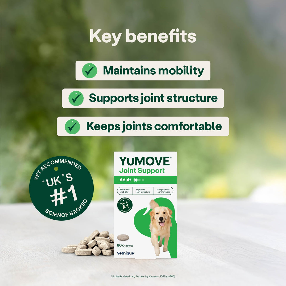 YuMOVE Joint Supplement for Dogs, Higher Strength for Joint Care, Essential Dog Hip and Joint Support for Adult Dogs Aged 6 to 8, 120 Tablets - Eco Friendly and Letter Box Ready Packaging
