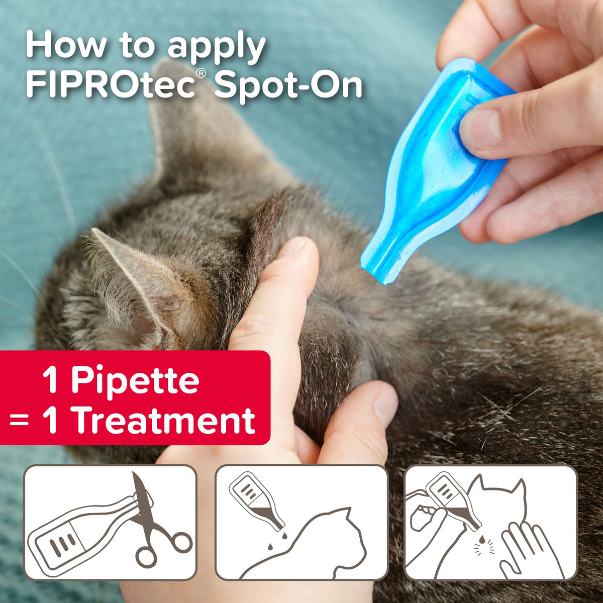 Beaphar - FIPROtec Spot-On Flea & Tick Treatment for Cats - 6 Pipettes - Kills Fleas & Ticks - Veterinary Medicine – Easy to Apply Monthly - For Cats & Kittens from 8 Weeks Old, Weighing Over 1kg