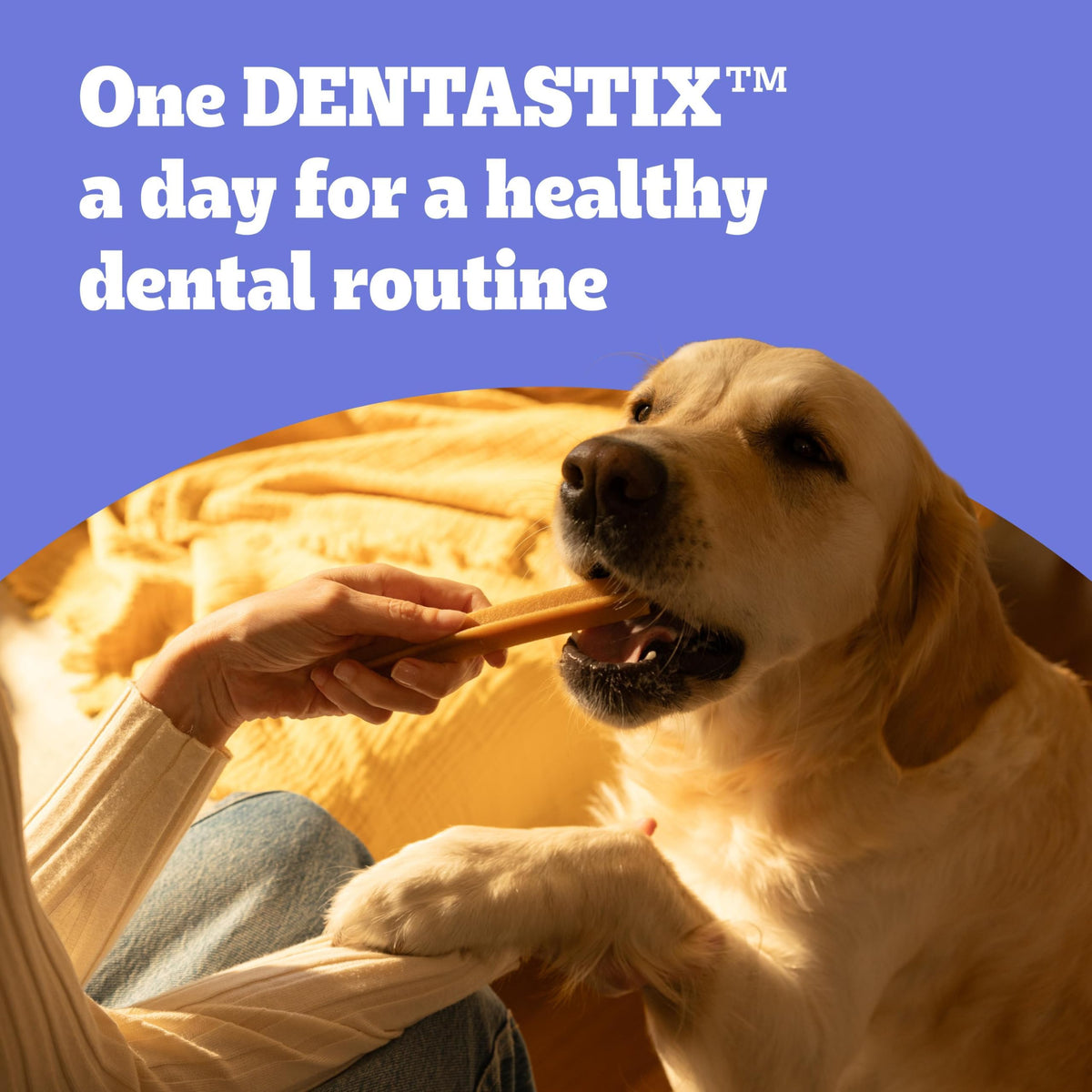 Pedigree DENTASTIX Daily Dental Sticks for Medium Dogs, 112 Sticks with Chicken and Beef